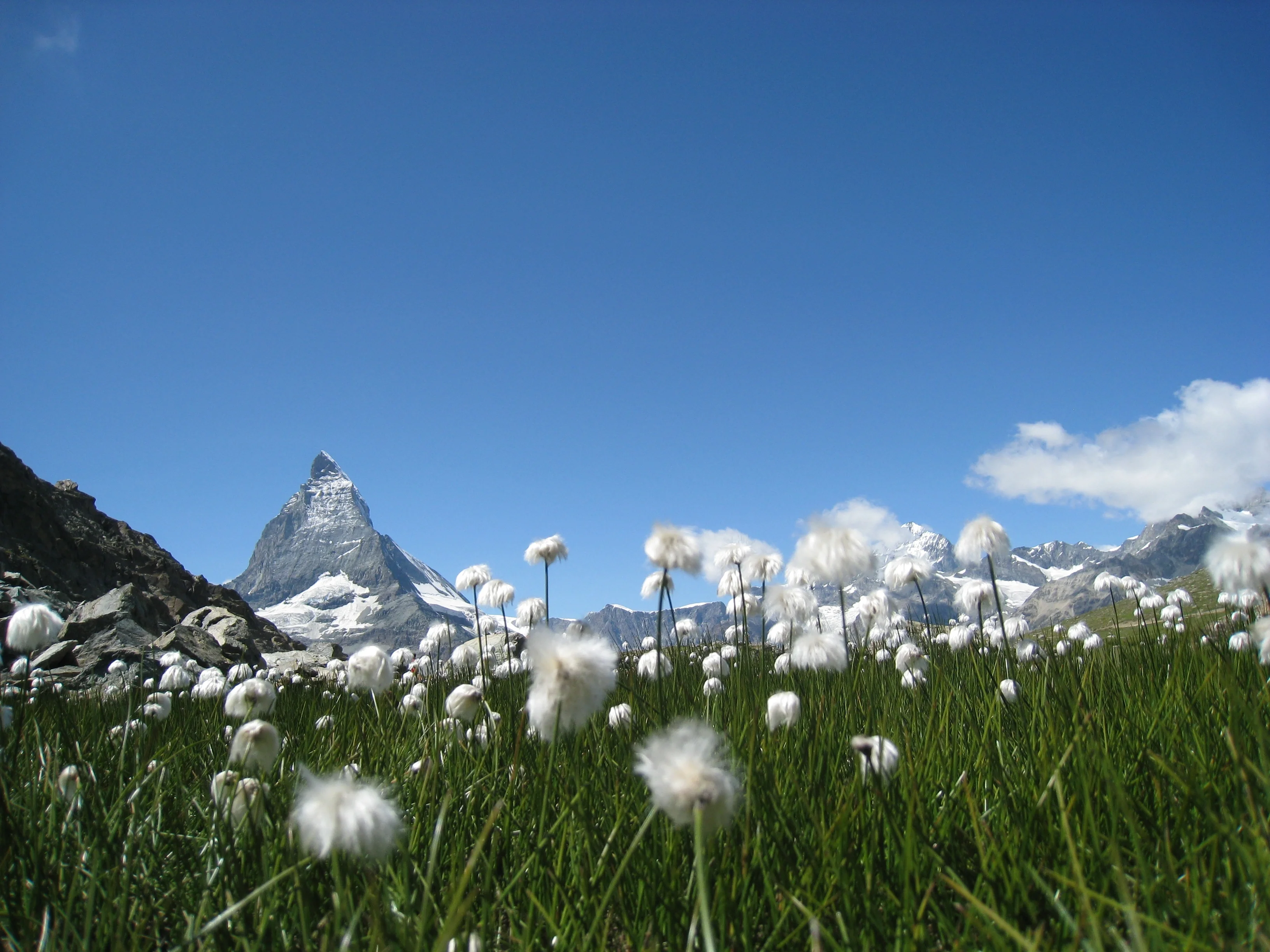 High altitude wetland in the Alps