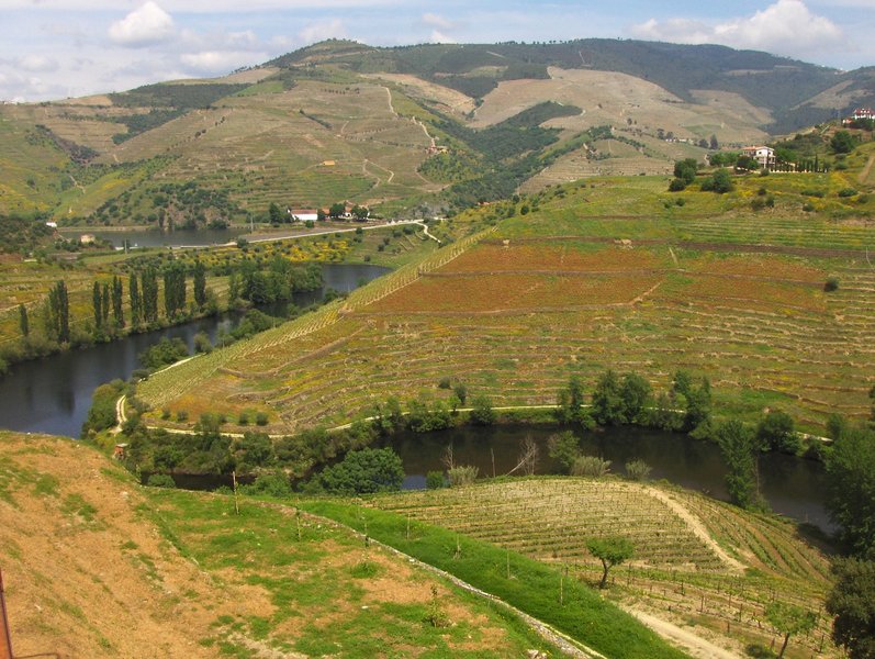 The Multi-functionality of the Port Wine Region Landscapes