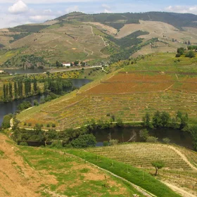 The Multi-functionality of the Port Wine Region Landscapes