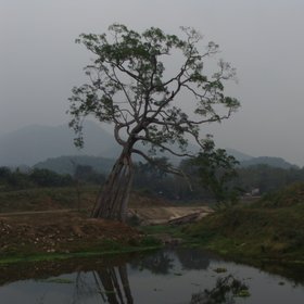 Irrigation dam Ban Bo Wi, Thailand