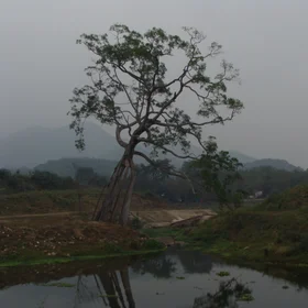Irrigation dam Ban Bo Wi, Thailand