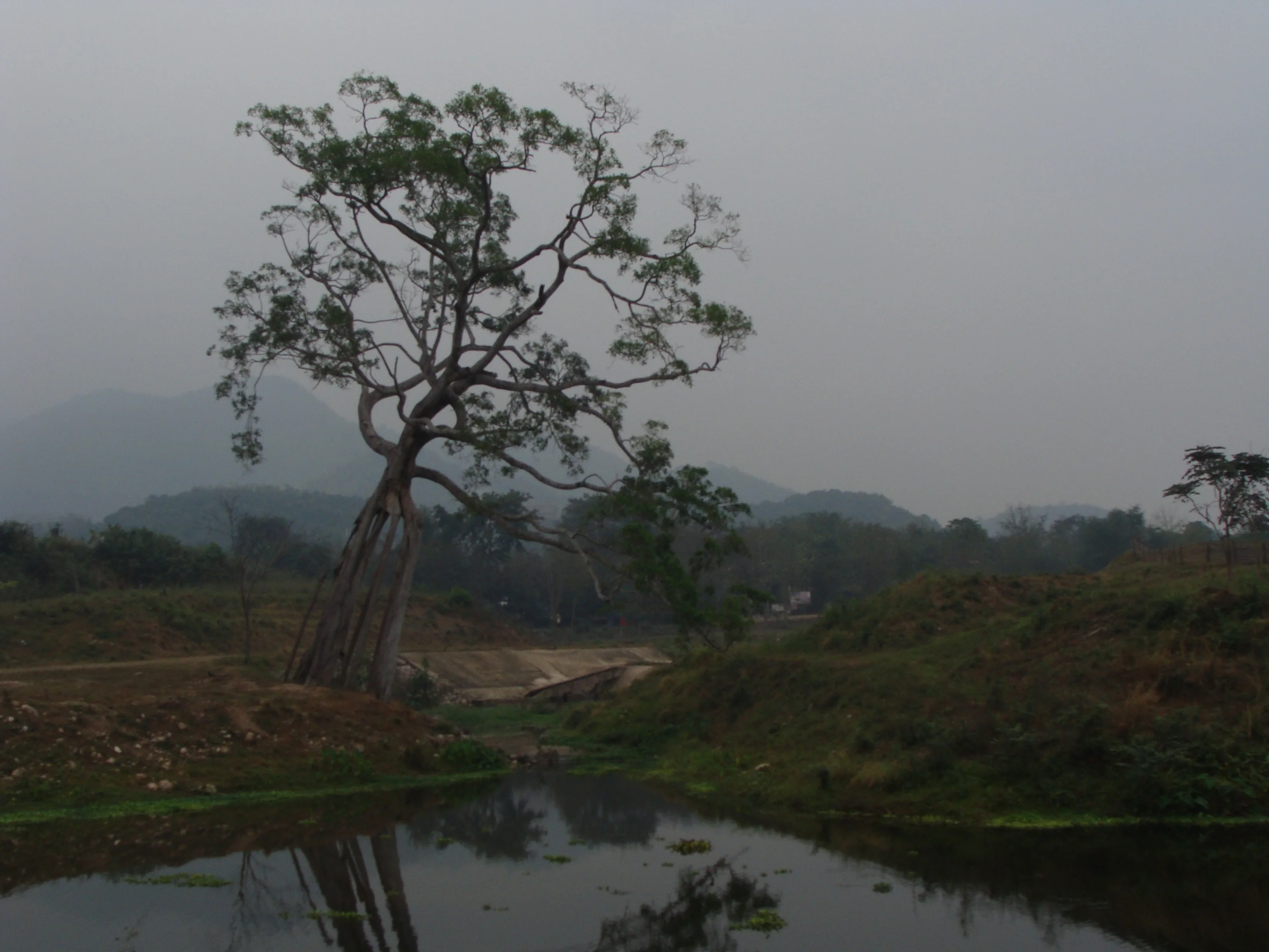 Irrigation dam Ban Bo Wi, Thailand