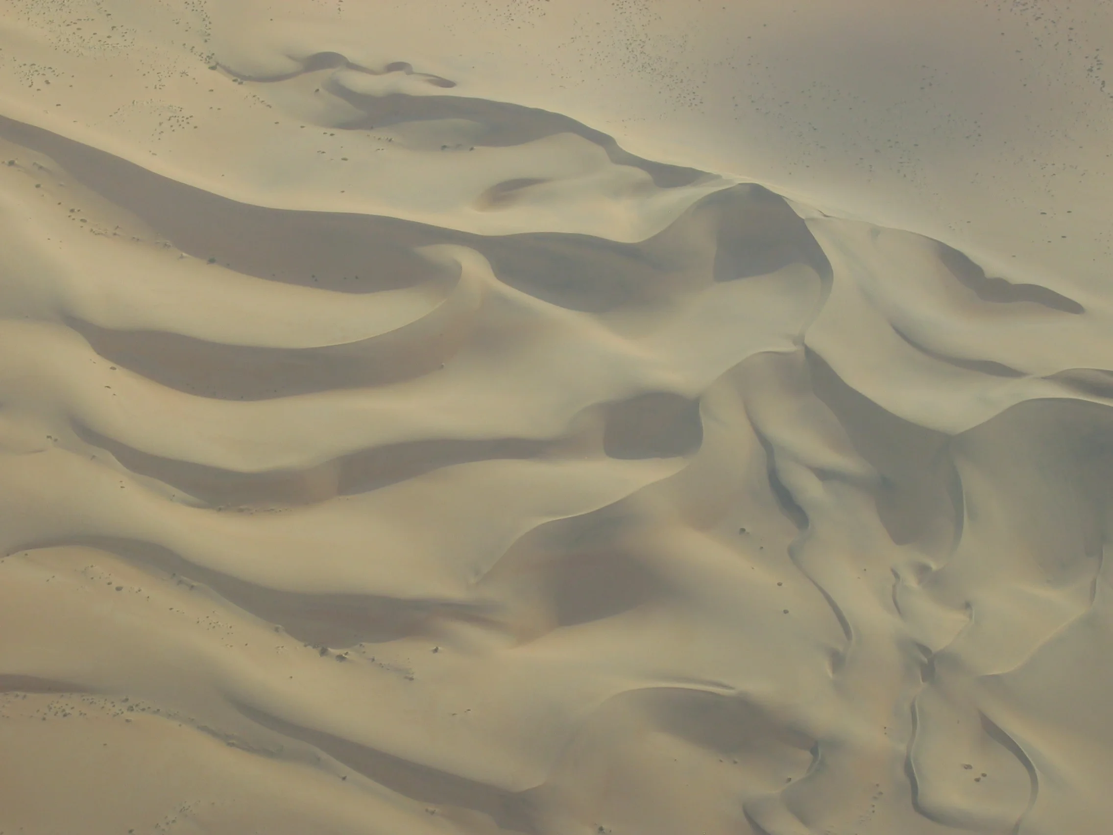 Coastal dunes, Namib