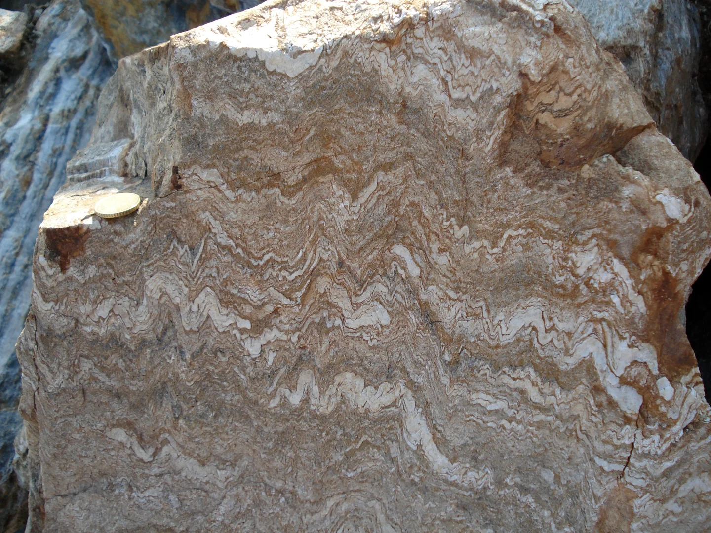 Folded augen gneisses