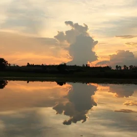 Reflection Without Mirror