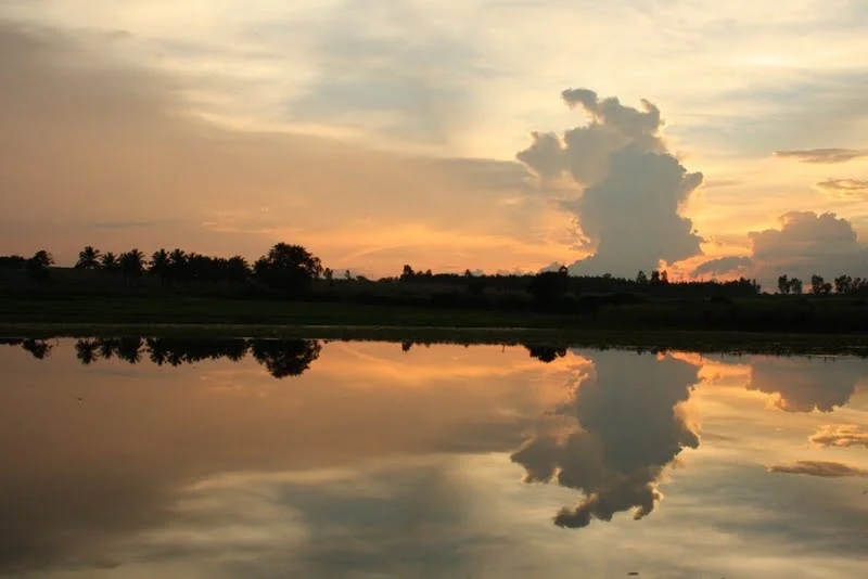 Reflection Without Mirror