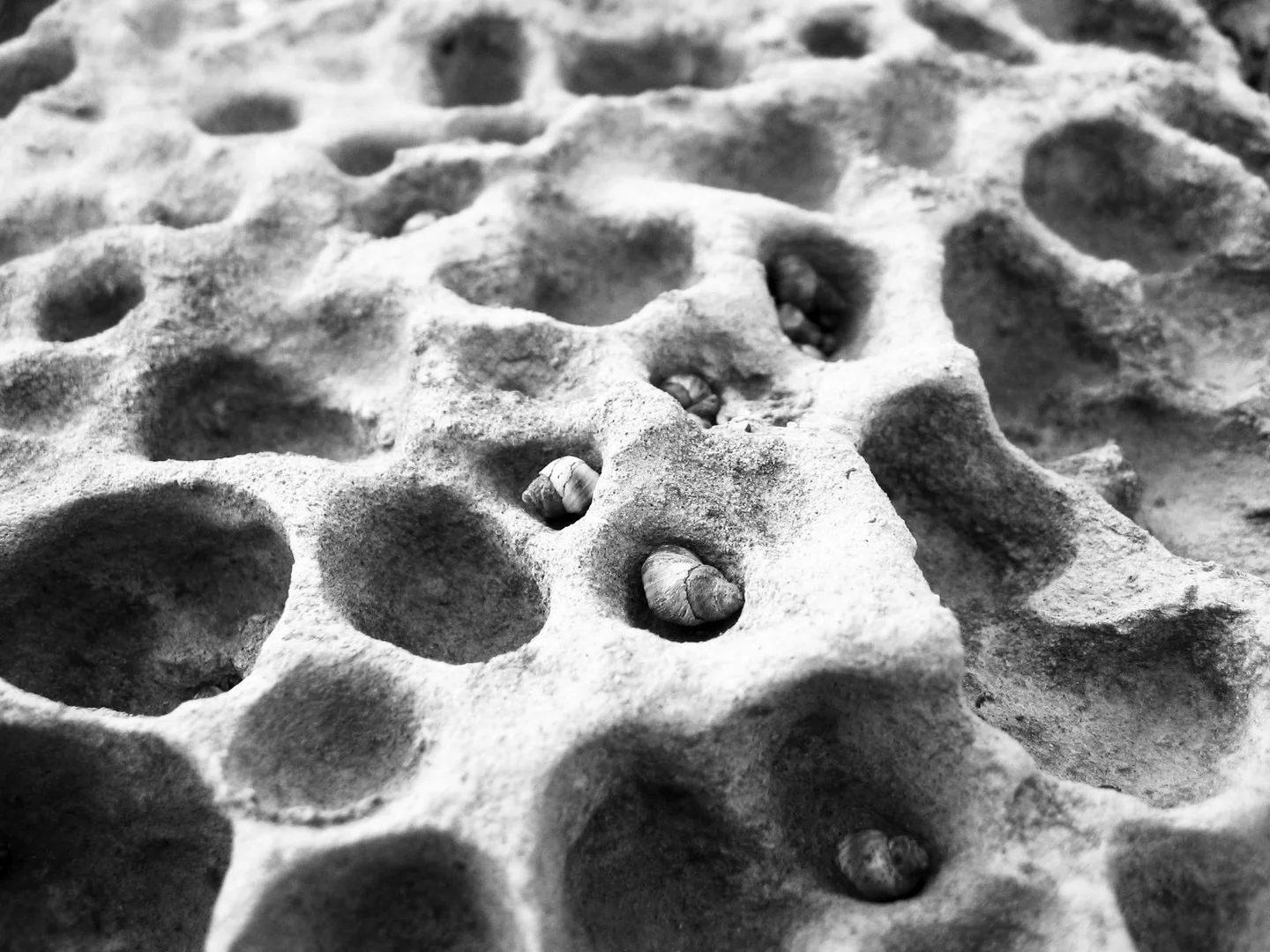 Honeycomb Weathering