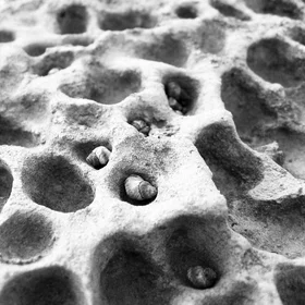 Honeycomb Weathering