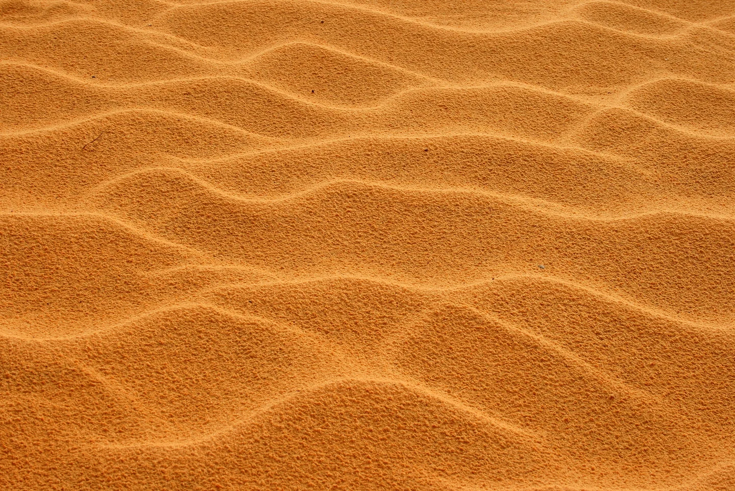 Wavy Sand
