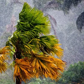 Violent Storm
