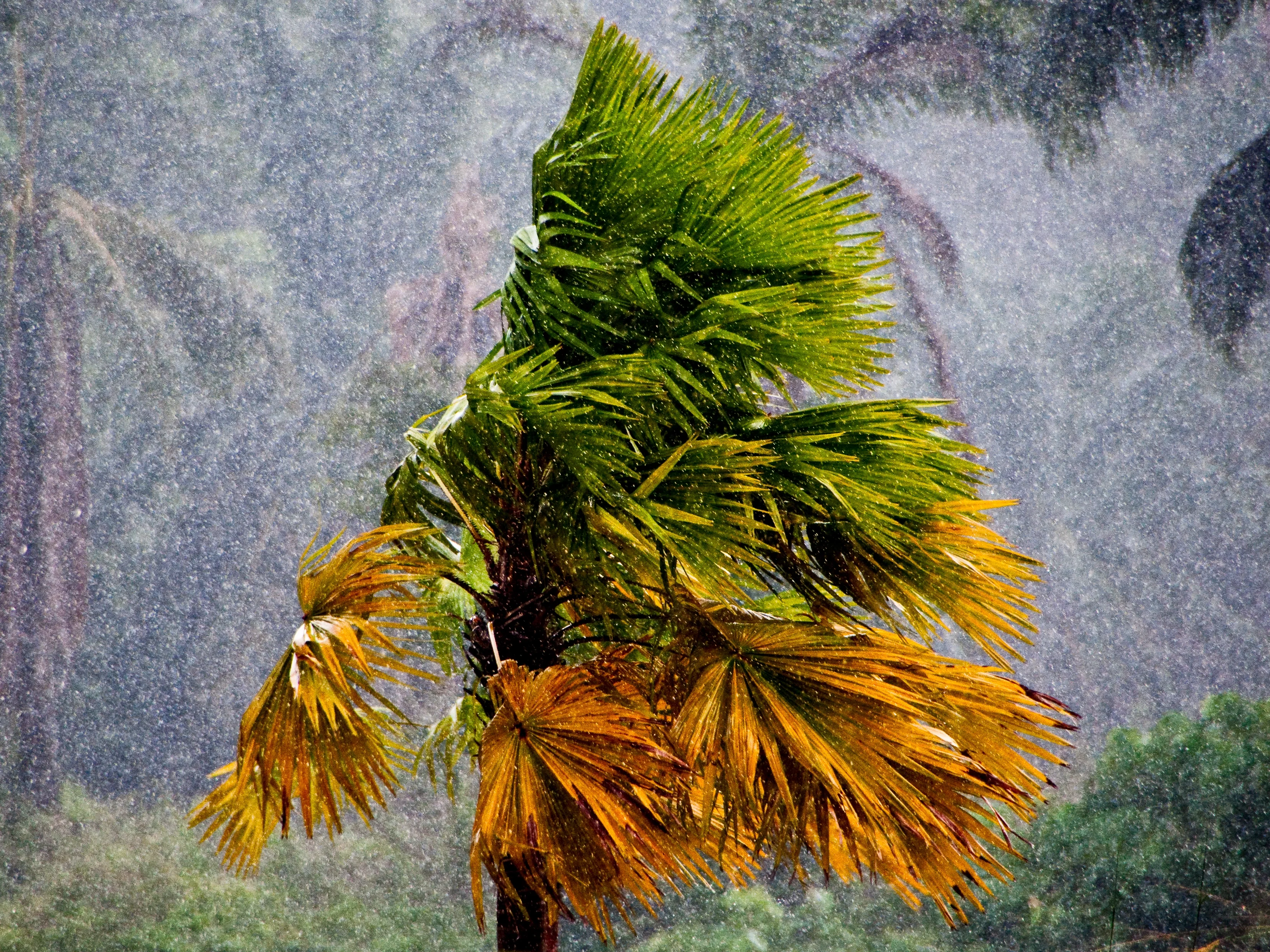 Violent Storm