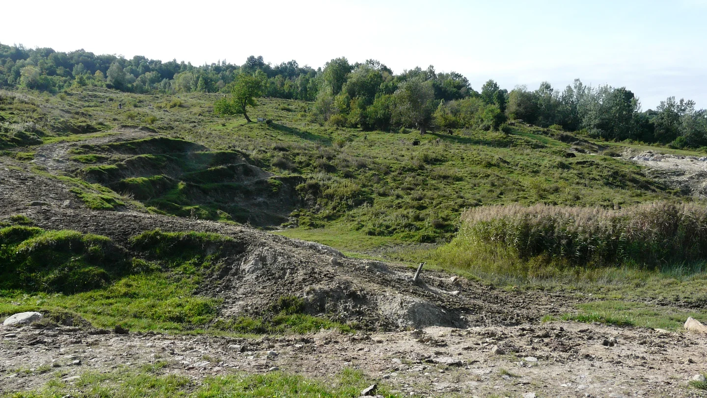 Telega Landslide