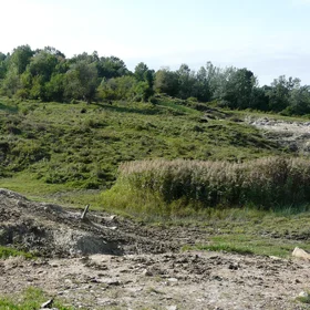 Telega Landslide