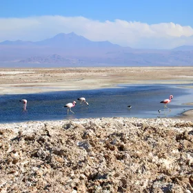 Salar de Atacama