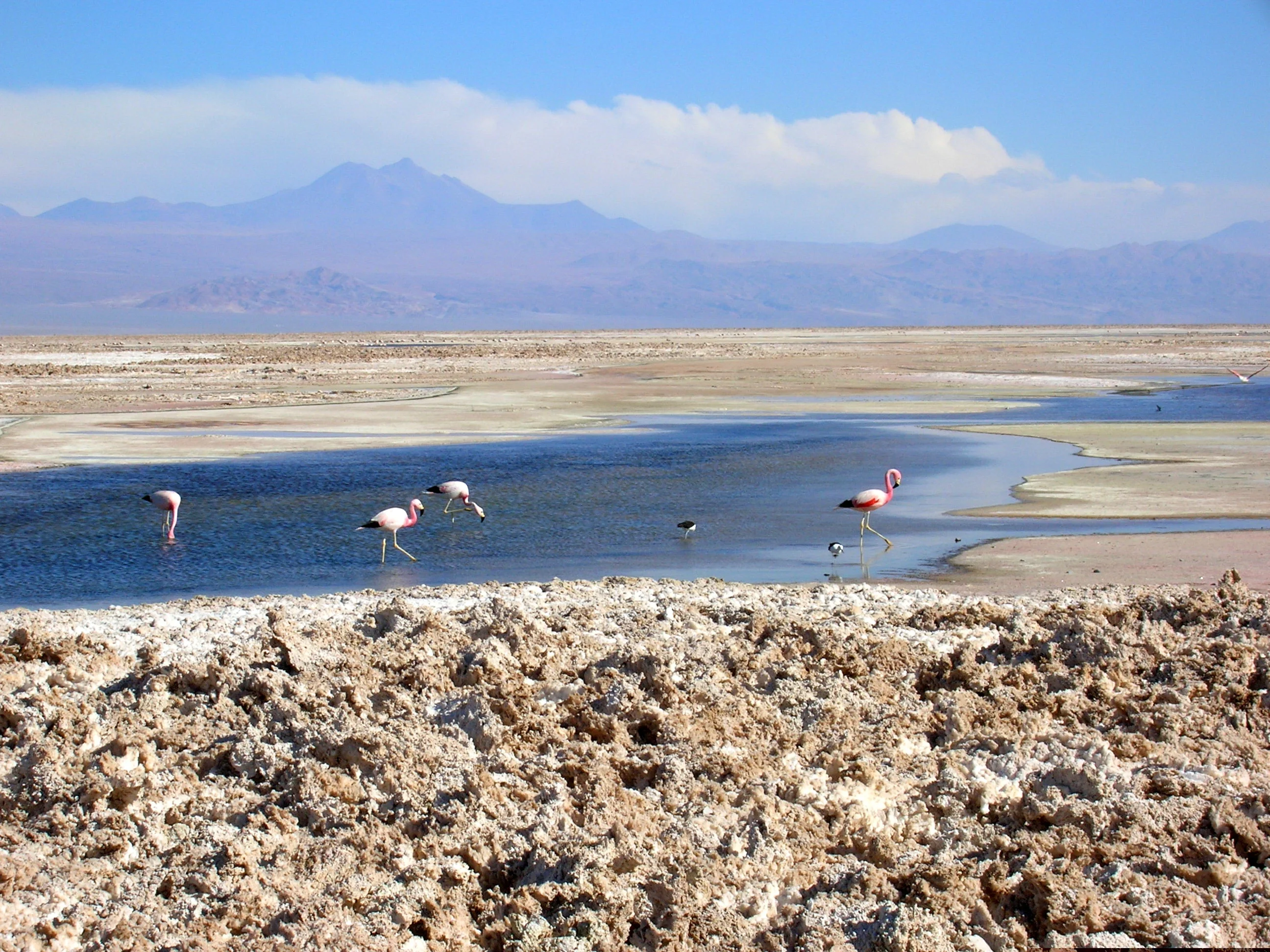 Salar de Atacama