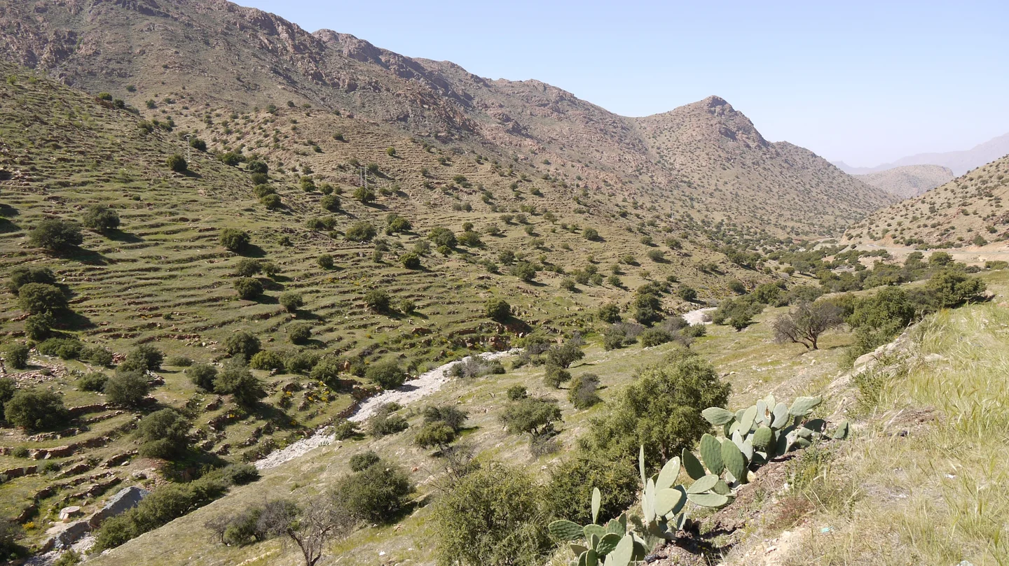 Anti-Atlas landscape