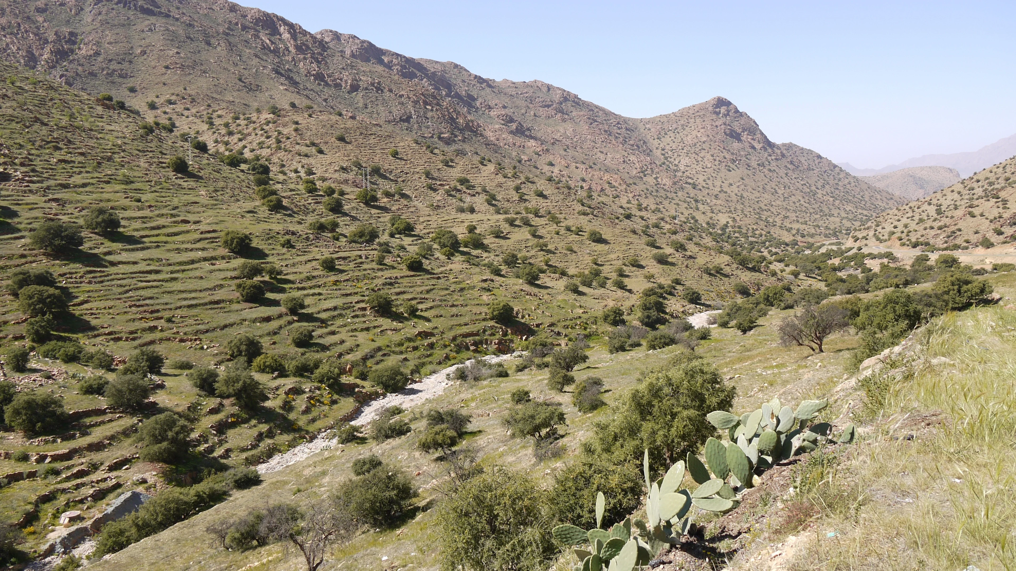 Anti-Atlas landscape