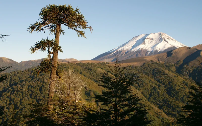 Volcan Lonquimay
