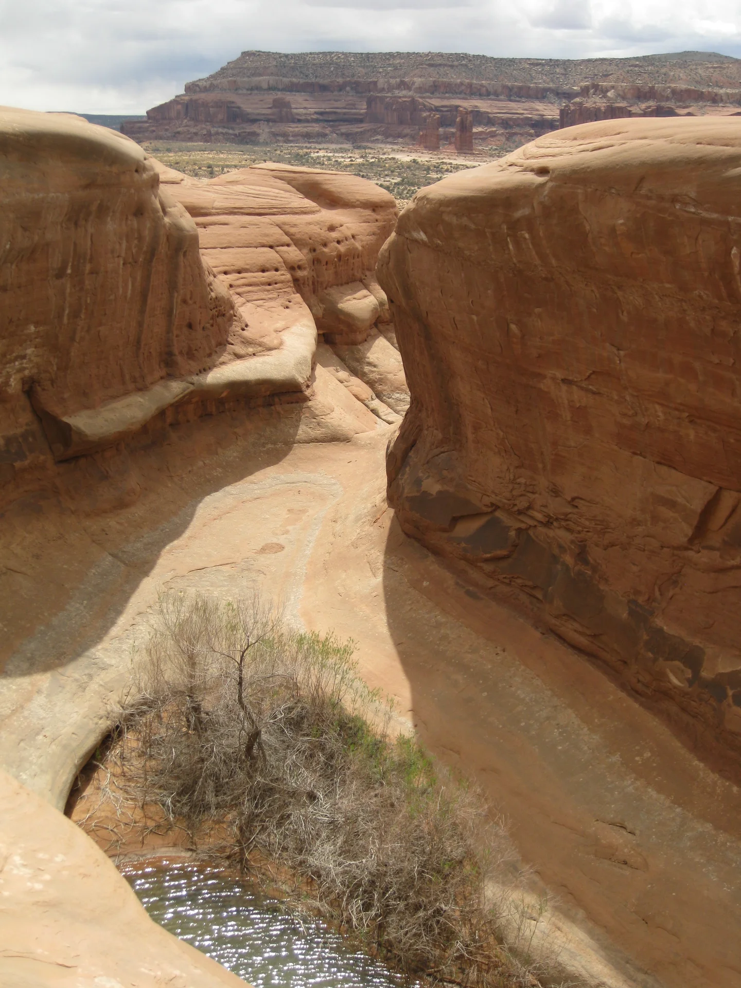 Arid pond before a rainstorm