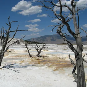 Travertine Terraces