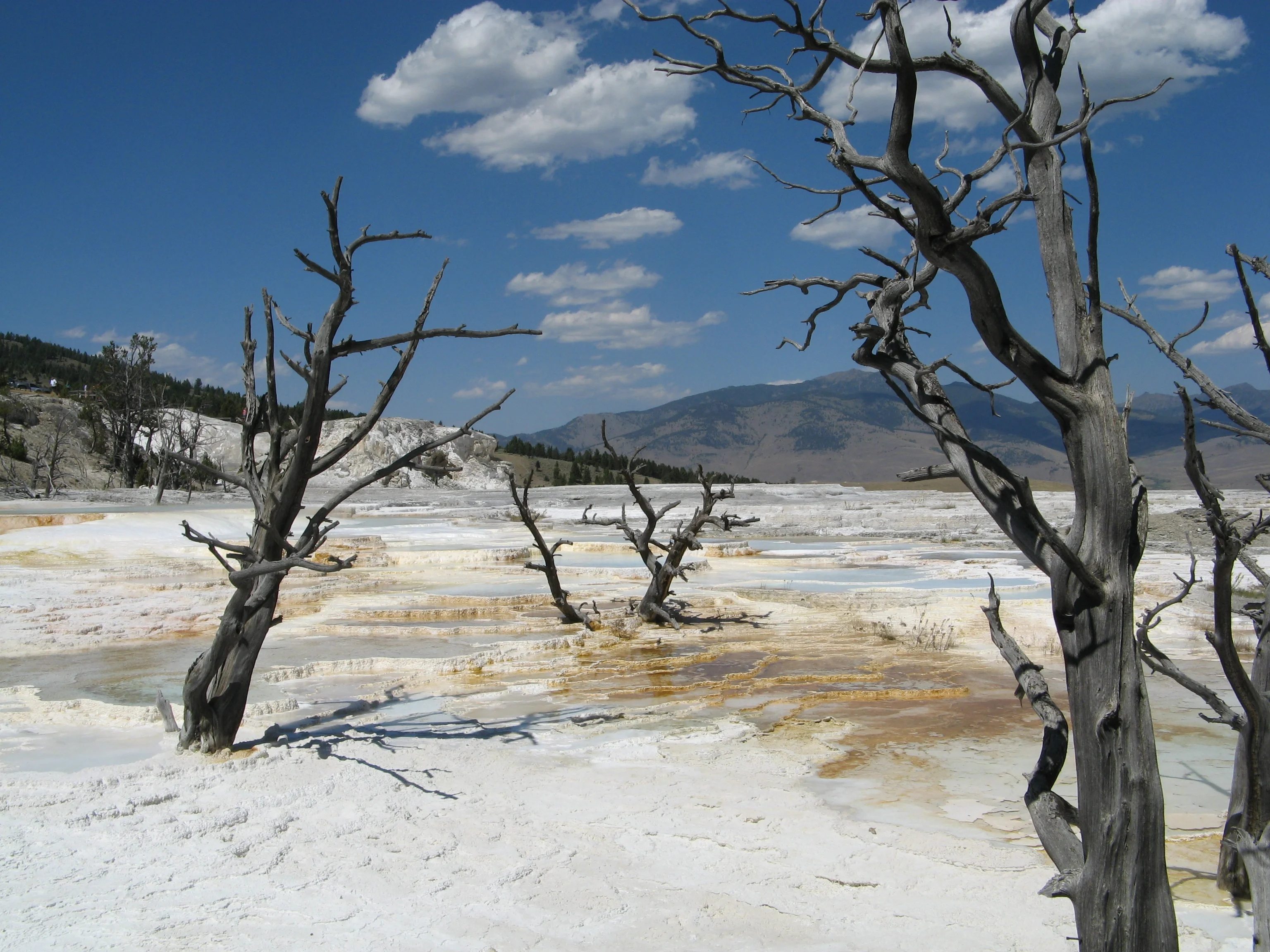 Travertine Terraces