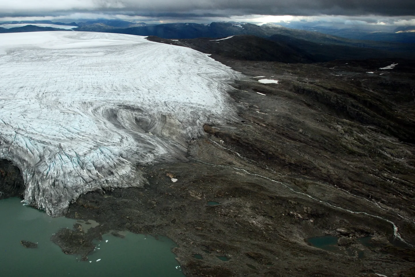 Wild Ice
