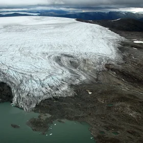 Wild Ice