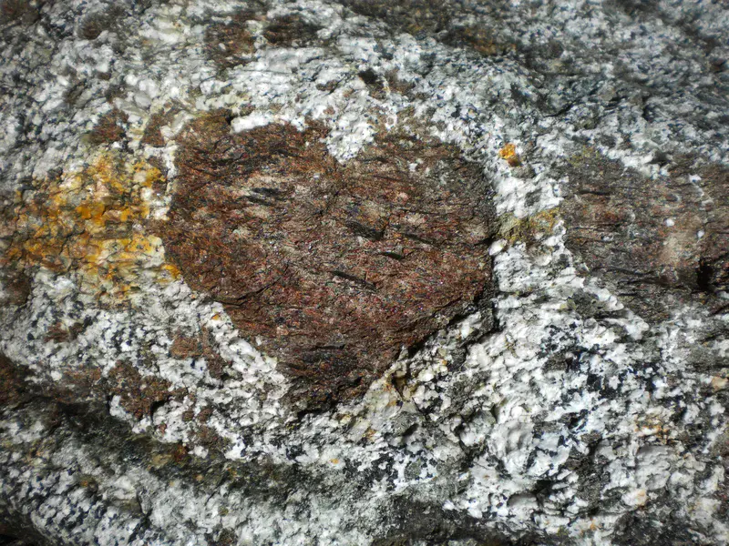 Heart-shaped garnet in a mafic granulite
