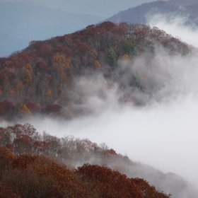 Great Smoky Mountains morning fog and fall foliage October 2009