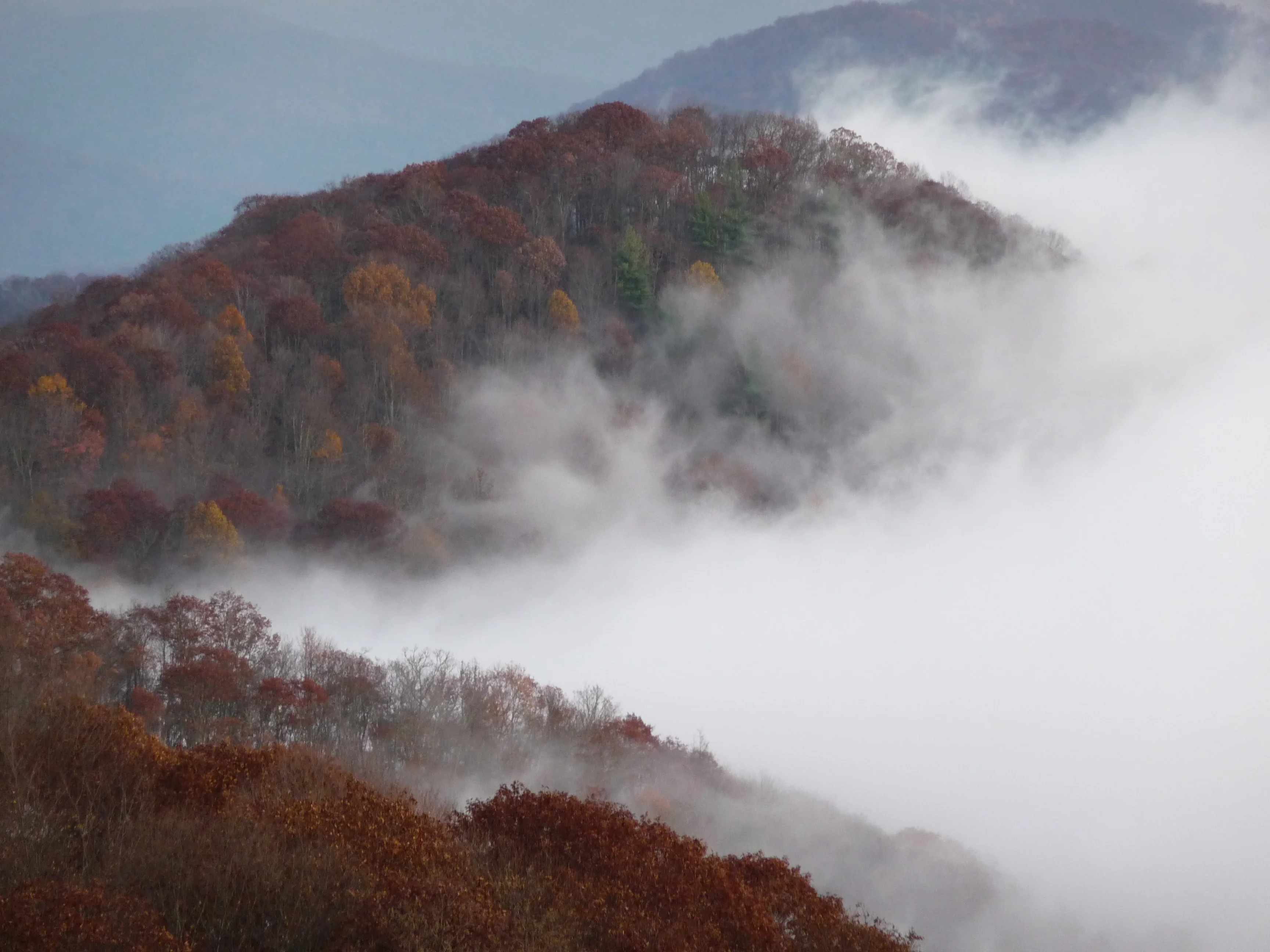 Great Smoky Mountains morning fog and fall foliage October 2009