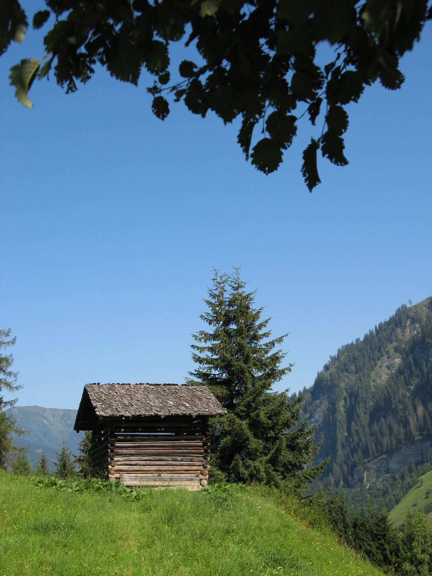 Traditional barn in the Austrian Alps