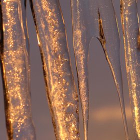 Morning sunlight reflected by icicles