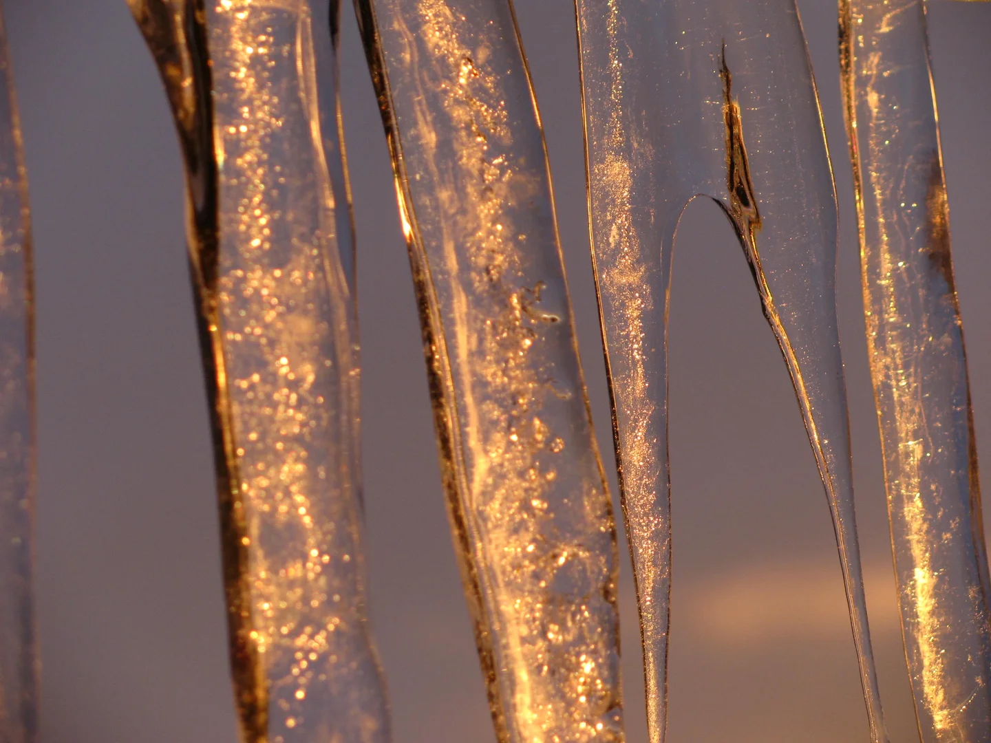 Morning sunlight reflected by icicles