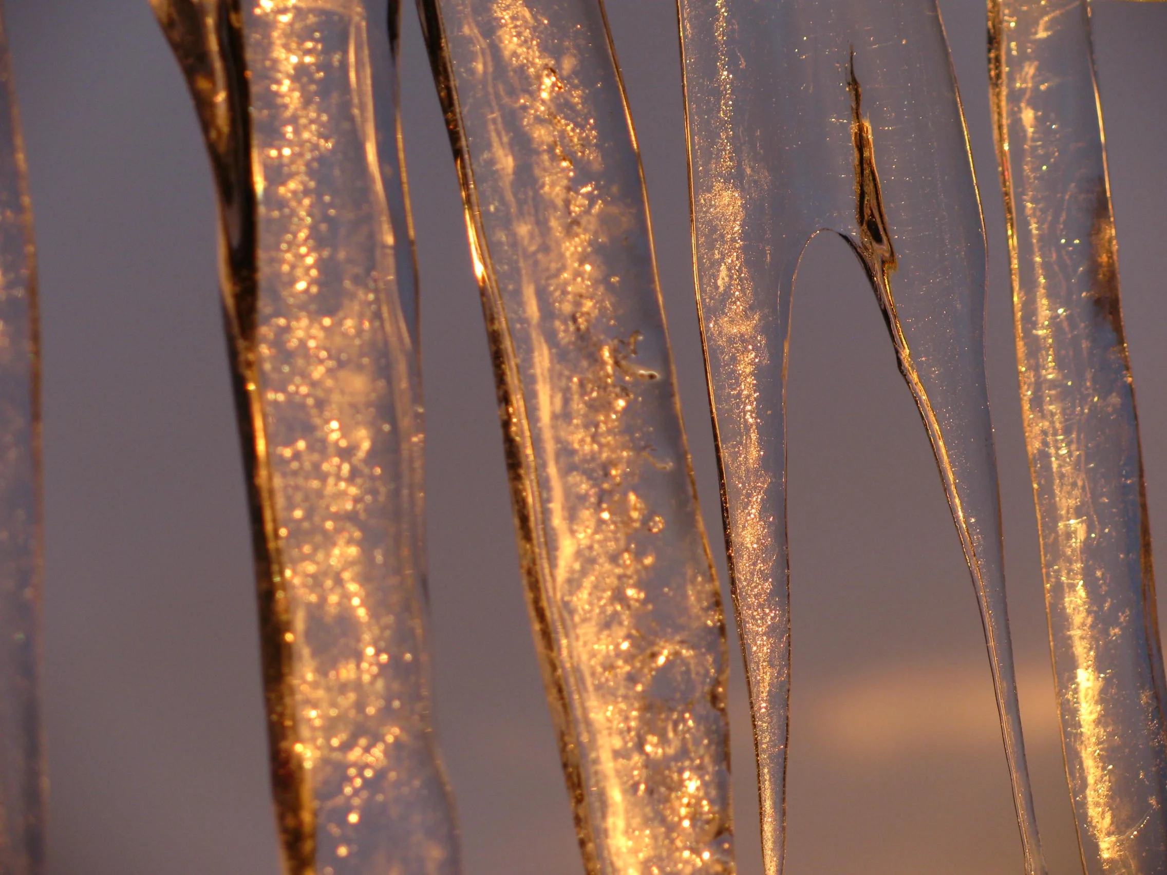 Morning sunlight reflected by icicles
