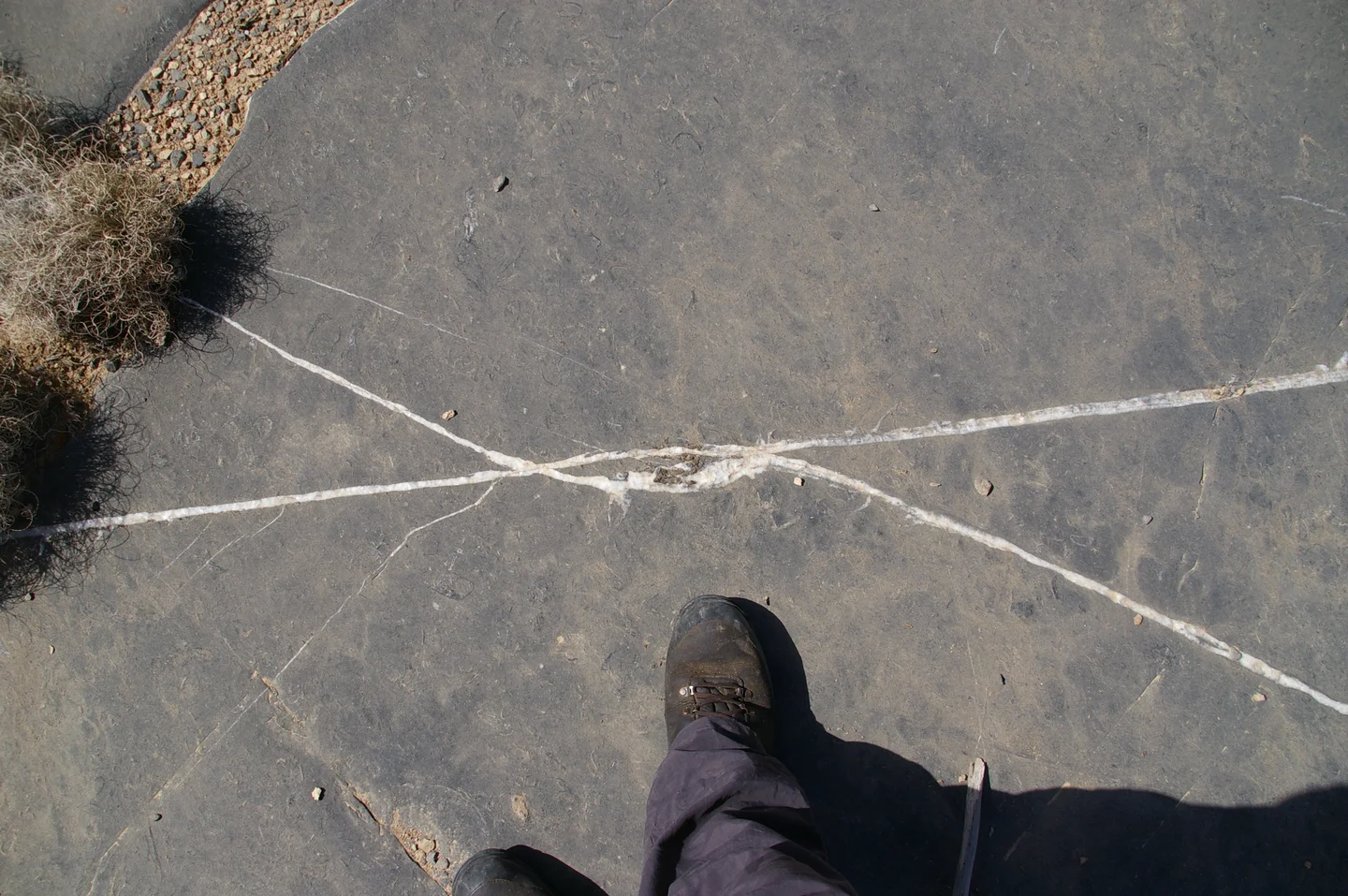 Calcite vein interactions