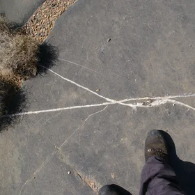Calcite vein interactions