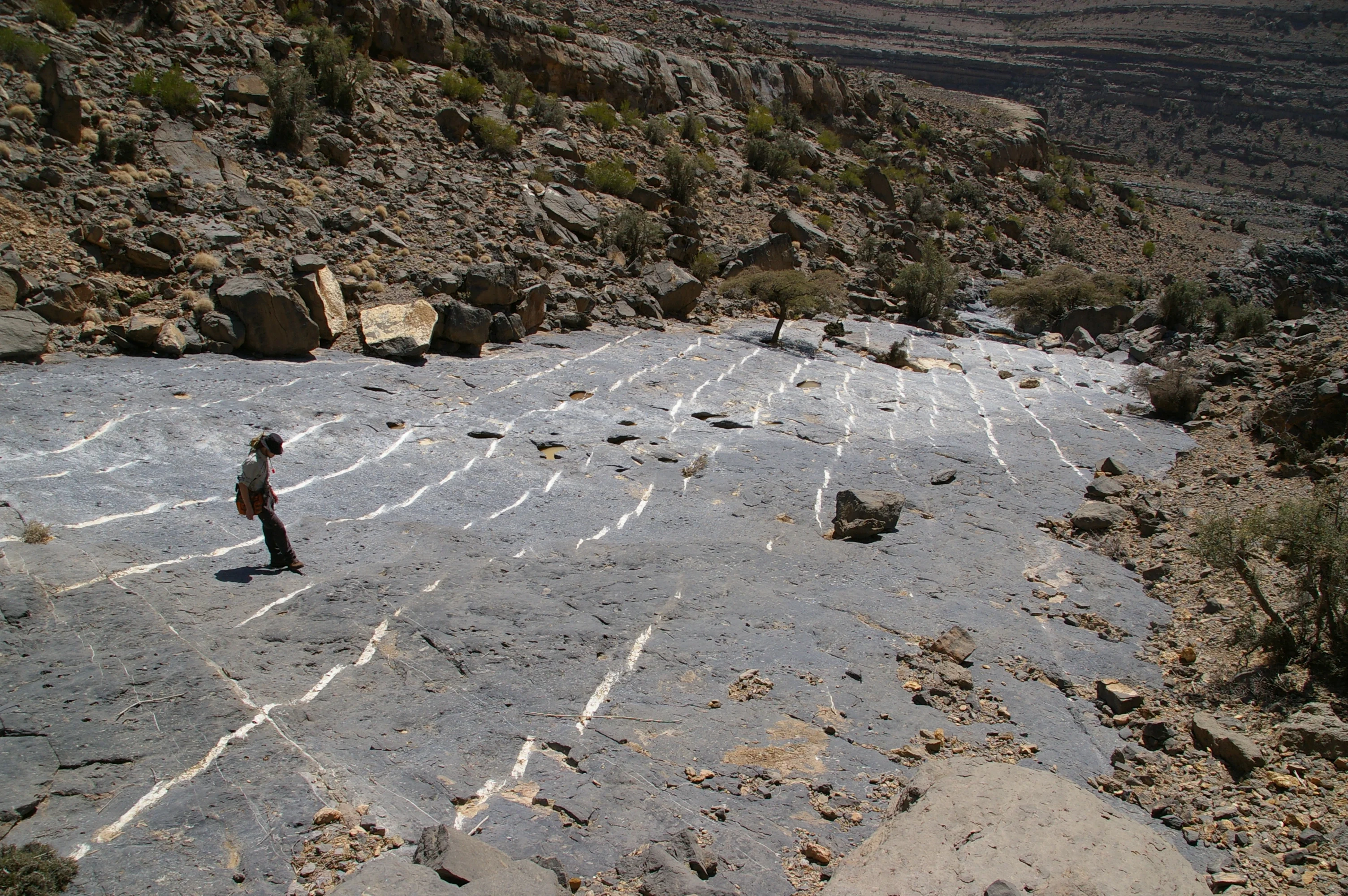 En echelon crack seal vein pavement