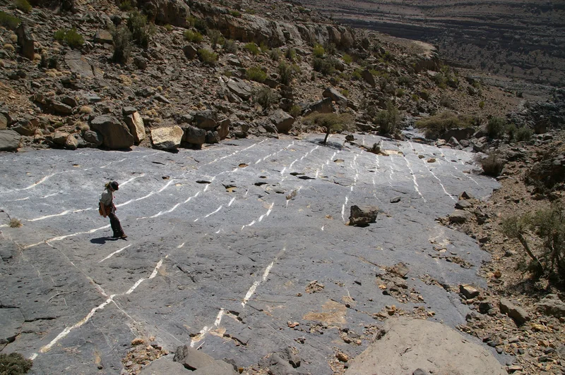 En echelon crack seal vein pavement