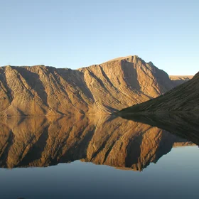 Reflection