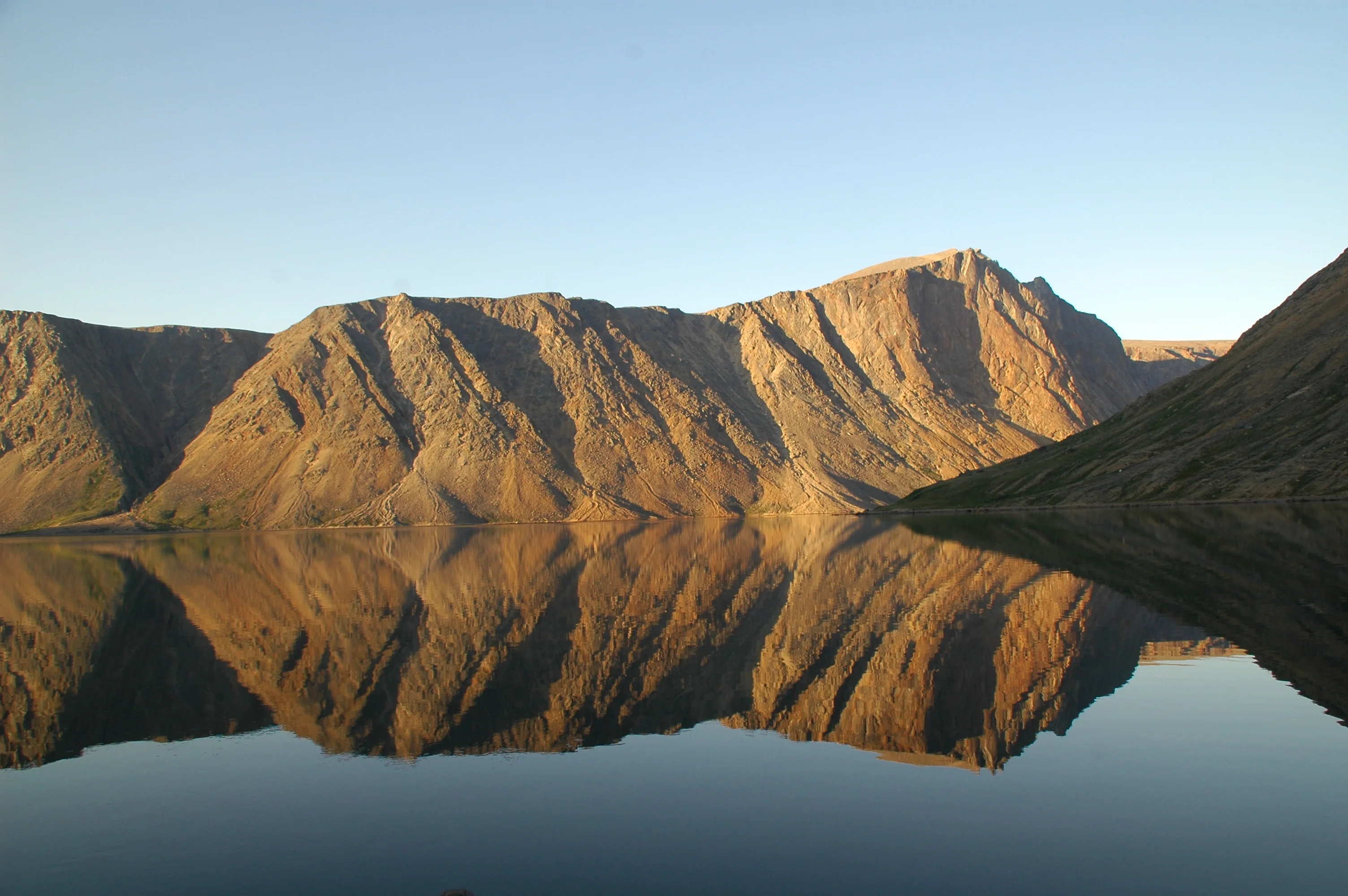 Reflection