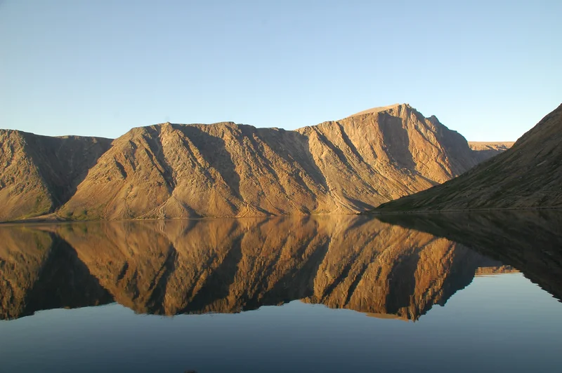Reflection