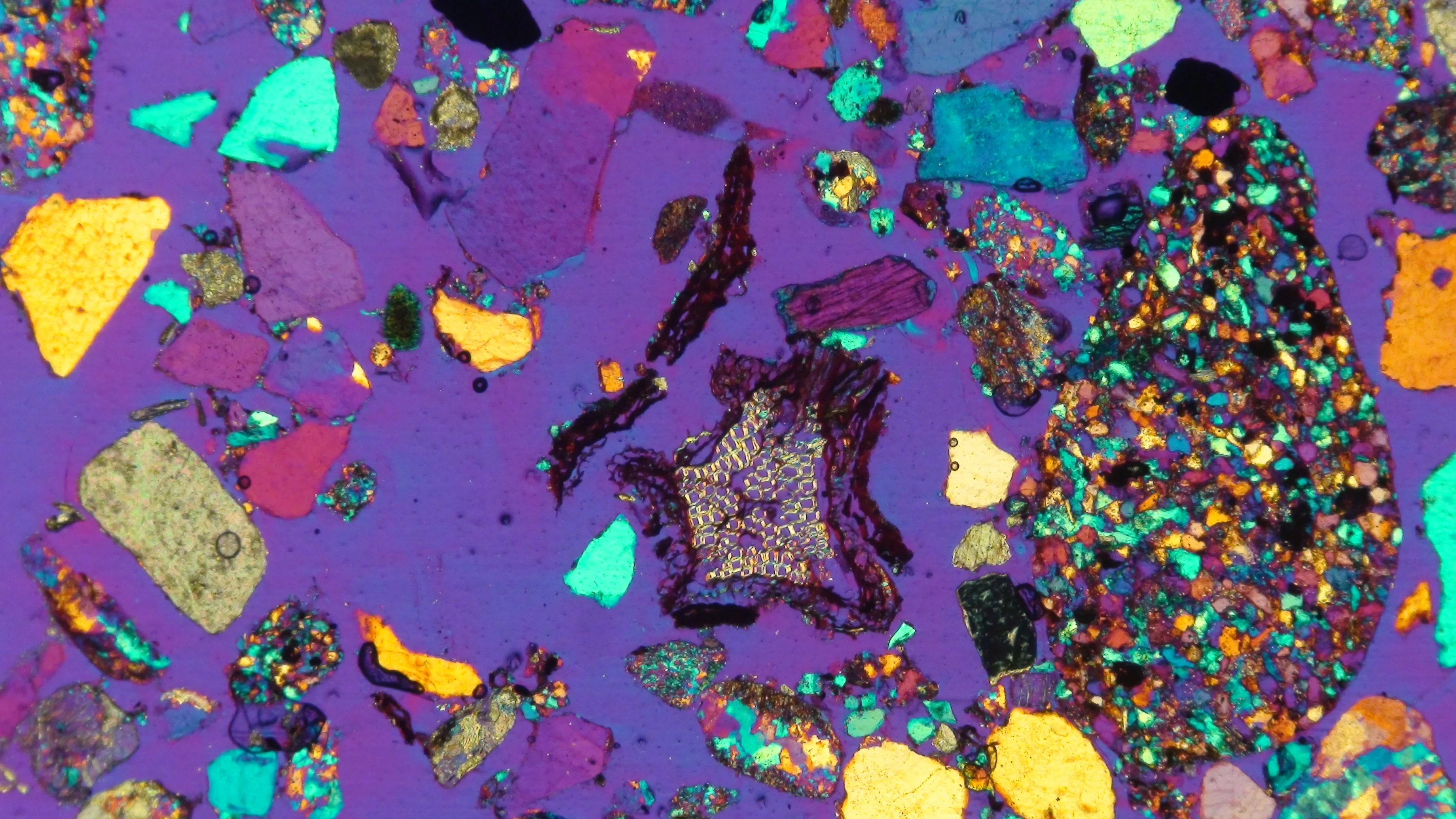 Where mineral and biological worlds meet