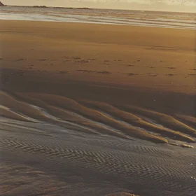 Low Tide In The Sunset