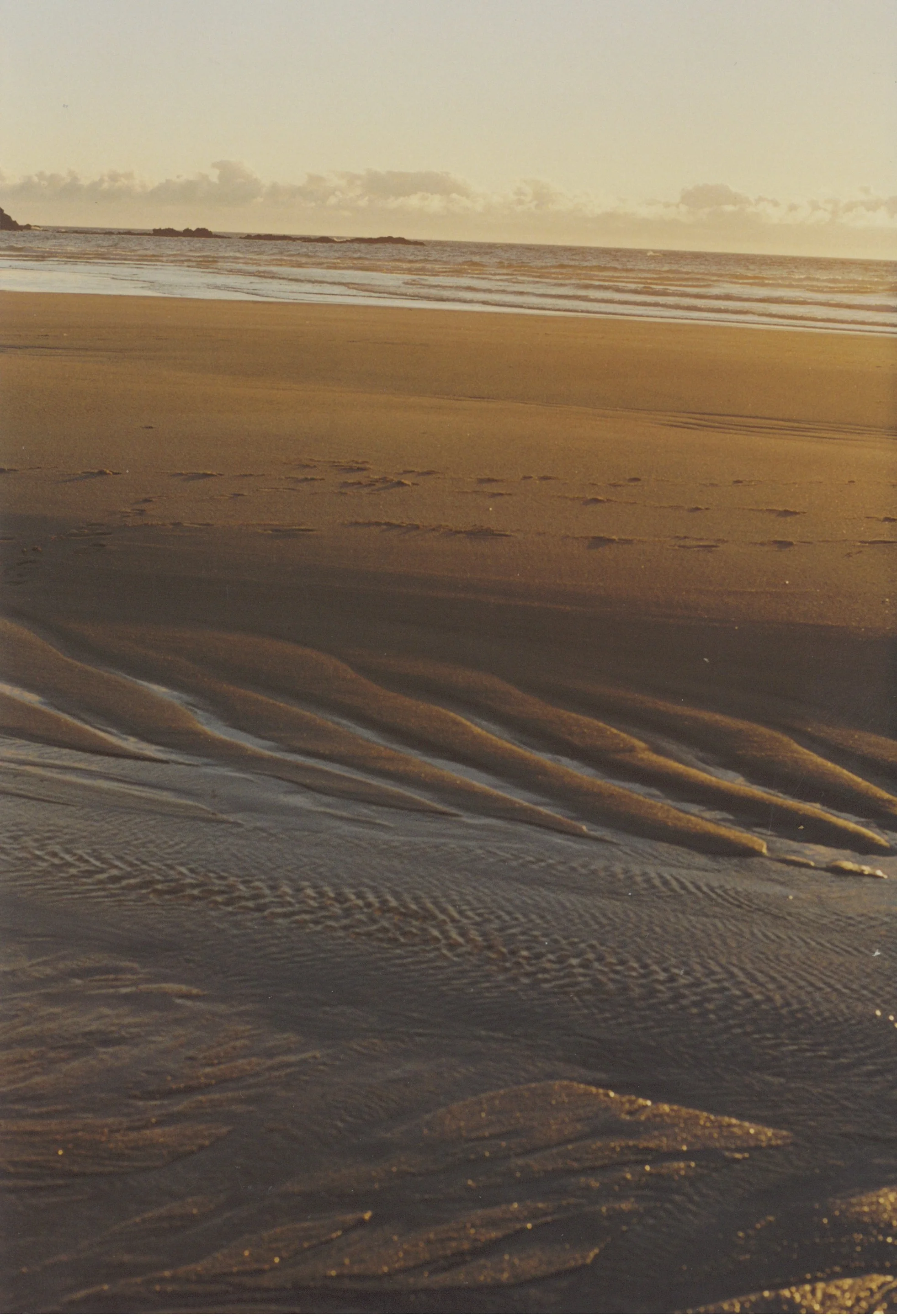 Low Tide In The Sunset