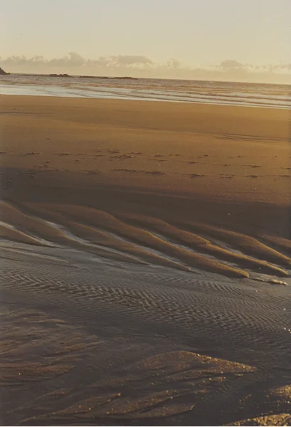 Low Tide In The Sunset