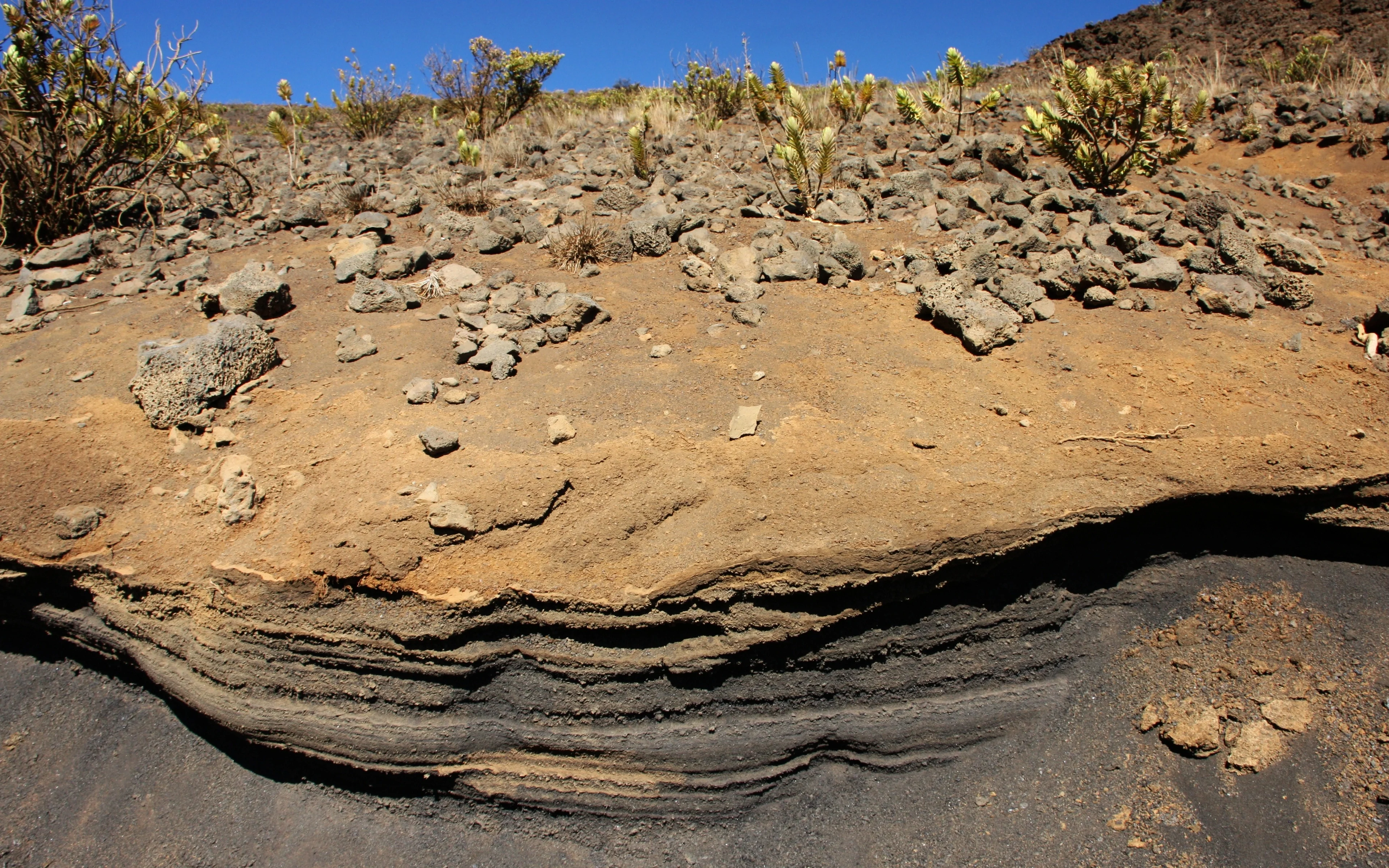 Tephra layers