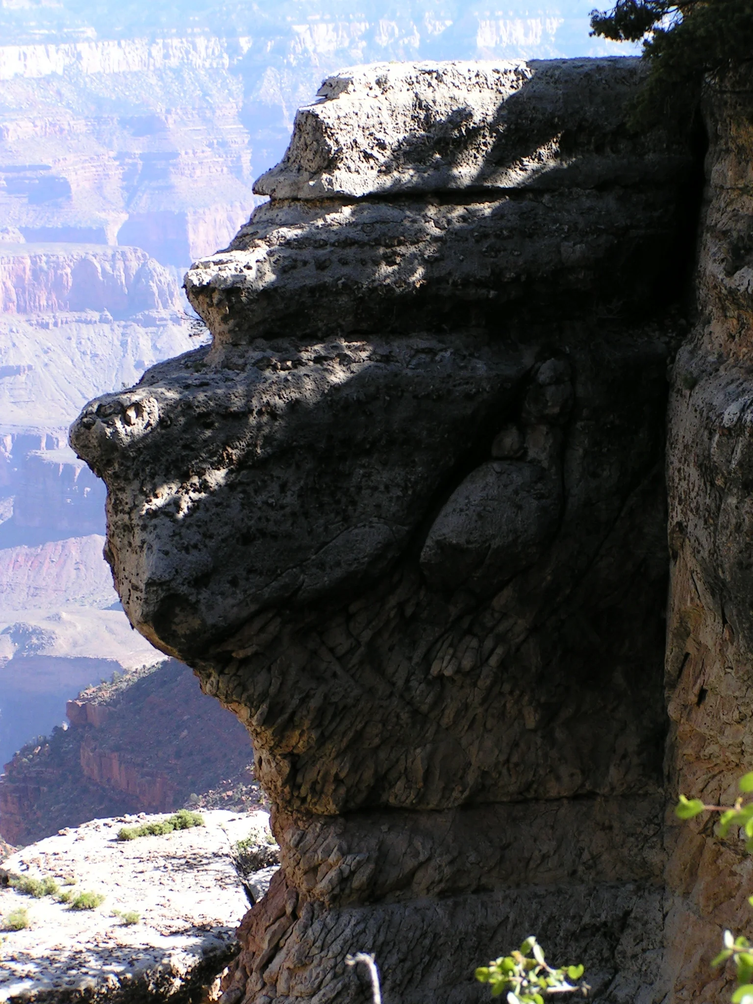 Monkey_face