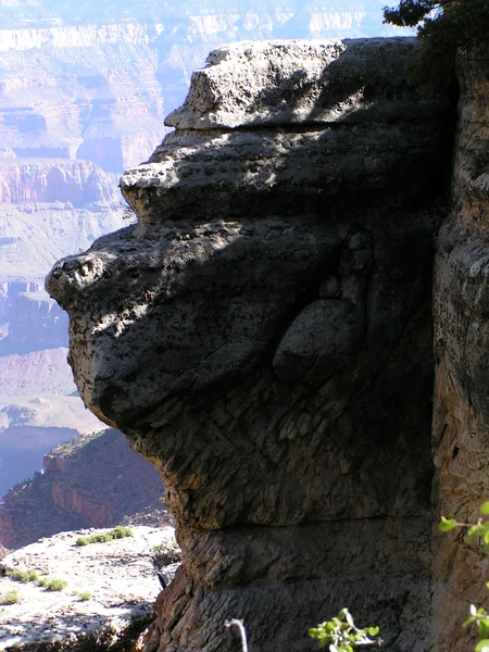 Monkey_face