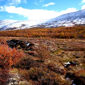 Palsa in autumn