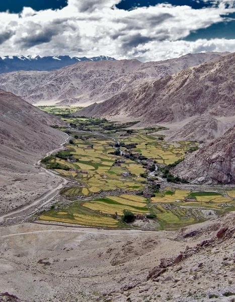 Ladakh